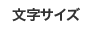 文字の大きさ
